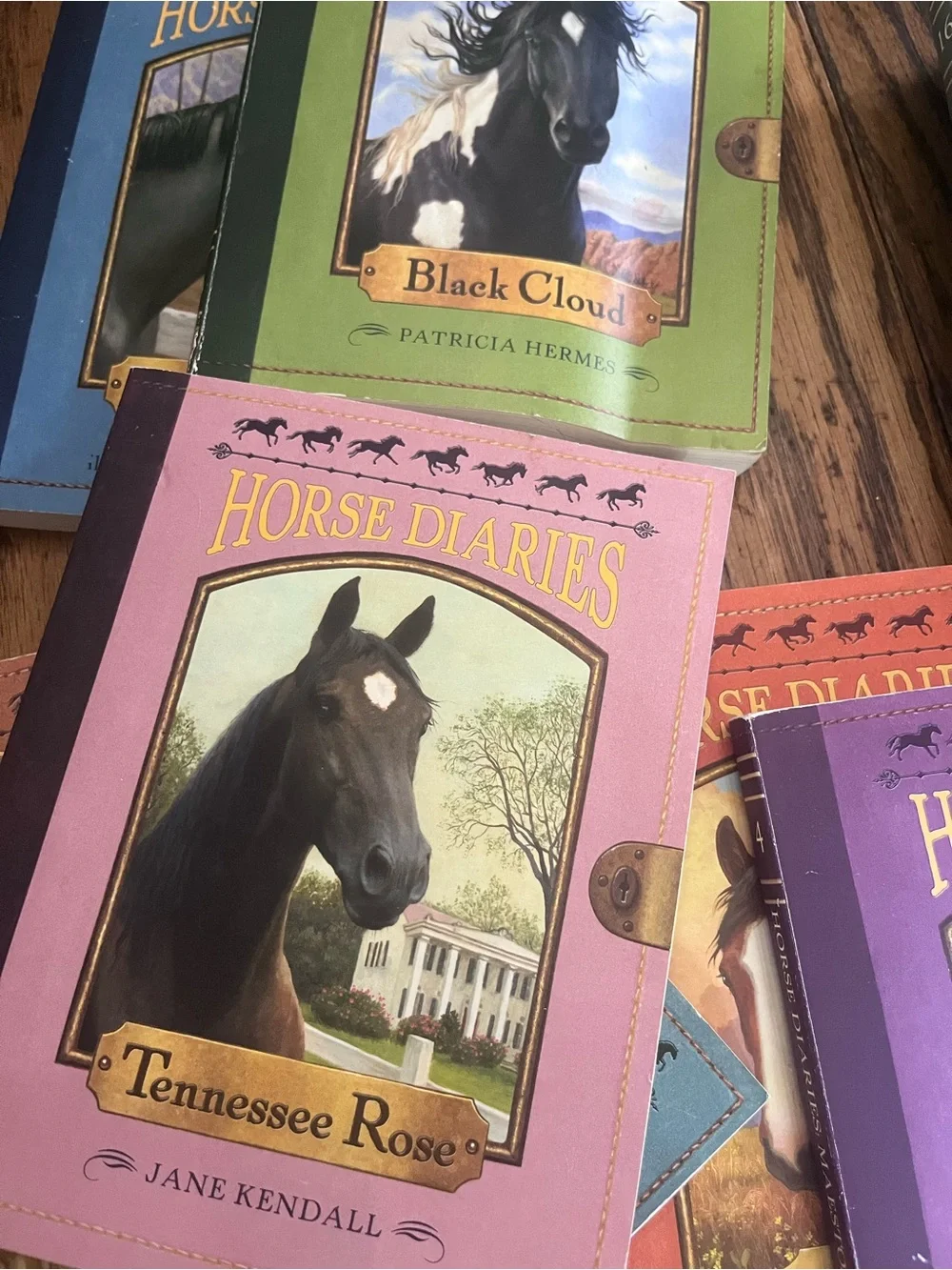 Horse Classic Multicolor Horse Diaries Decorative Book Set - Whitney Sanderson
